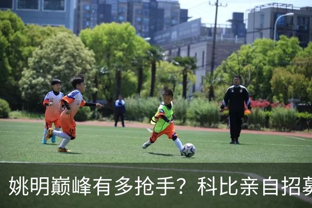 姚明巅峰有多抢手？科比亲自招募，小牛骑士湖人同时开天价合同